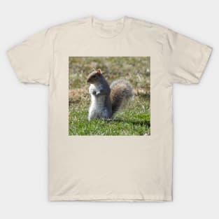 Wildlife gifts, eastern ground squirrel, nature, wild animals T-Shirt